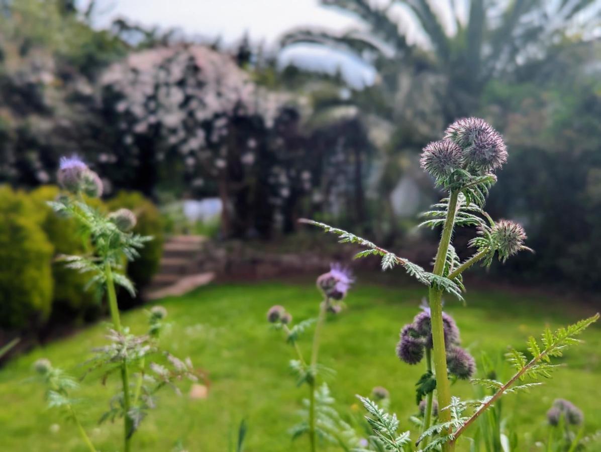 טורקוואי Villa Marina מראה חיצוני תמונה